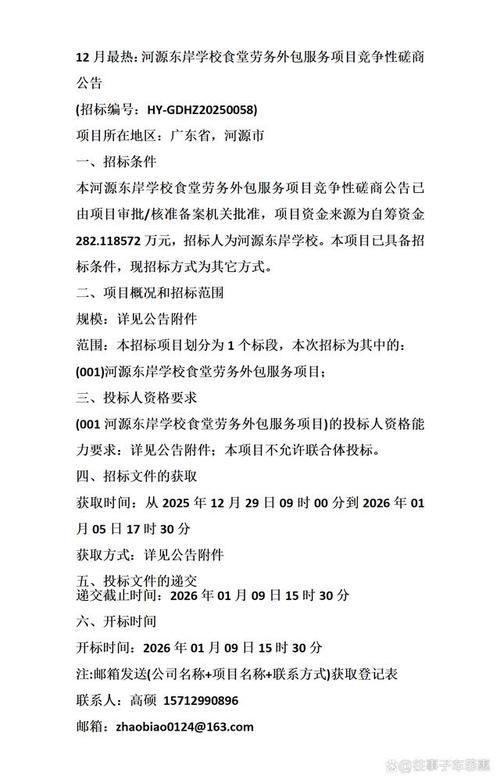 河源東岸學(xué)校食堂勞務(wù)外包與軟件外包服務(wù) 12月競(jìng)爭(zhēng)性磋商公告解析