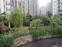 匯融悉尼灣達(dá)令港 中瑞匯融的理想家園